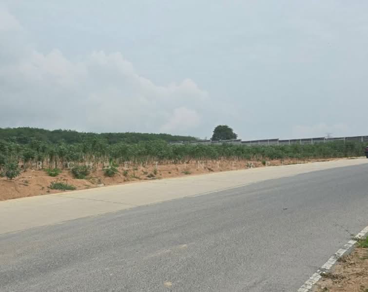 Land for sale in Plak Daeng, 10 rai, Soi Orwin 5, near Plak Daeng-Bo Win Road (3013), Rayong, Pluak Daeng, Pluak Daeng, Rayong, , 16,000 sqm, Land For Sale, by RICHWELL INTERPLUS, 11700674 - DDproperty.com