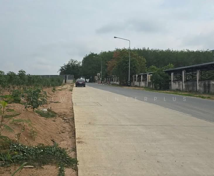 ขายที่ดินปลวกแดง 10 ไร่ ซอยอรวิน5 ใกล้ถนนเส้นปลวกแดง-บ่อวิน(3013), ระยอง, ปลวกแดง, ปลวกแดง, ระยอง, 16,000 ตร.ม., ที่ดิน ขาย, โดย RICHWELL INTERPLUS, 11700674 - DDproperty.com