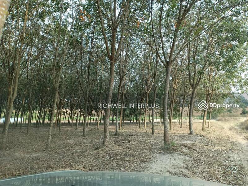 For Sale - Land for sale in Map Kha, next to a concrete road, 20 rai, next to CPGC Industrial Estate., Rayong