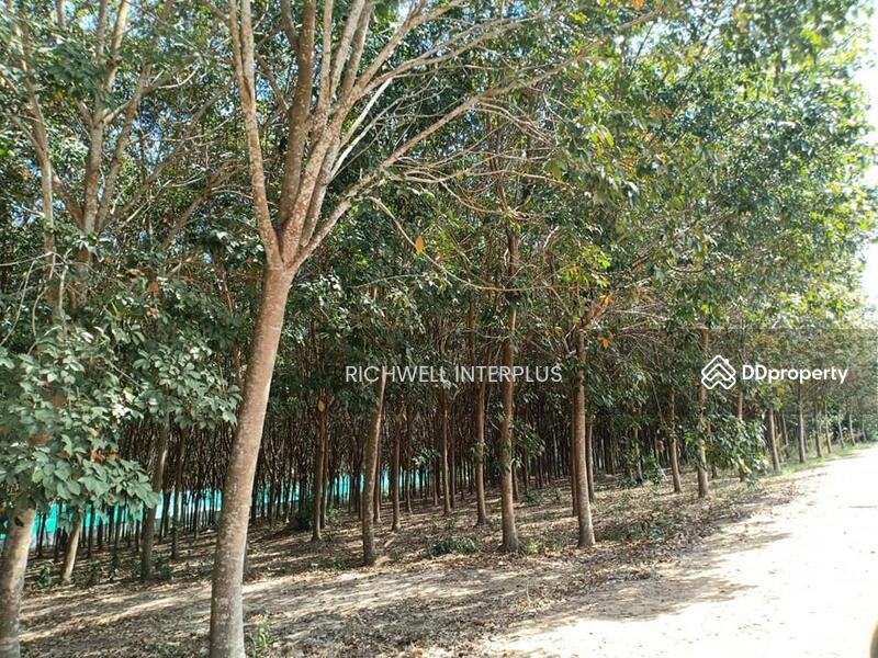 For Sale - Land for sale in Map Kha, next to a concrete road, 20 rai, next to CPGC Industrial Estate., Rayong
