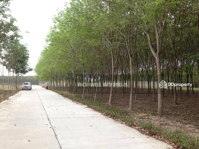 For Sale - Land for sale in Map Kha, next to a concrete road, 20 rai, next to CPGC Industrial Estate., Rayong