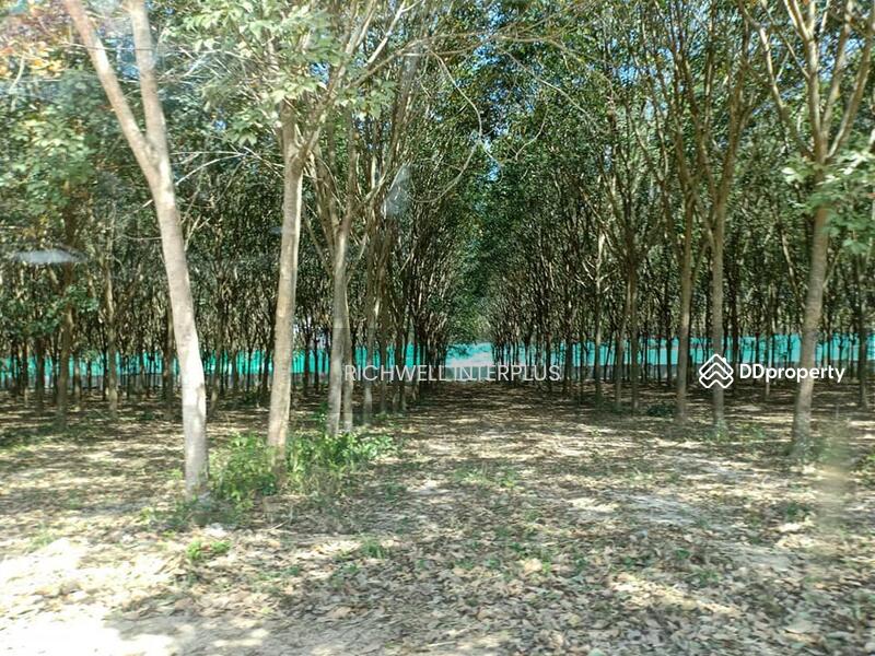 For Sale - Land for sale in Map Kha, next to a concrete road, 20 rai, next to CPGC Industrial Estate., Rayong