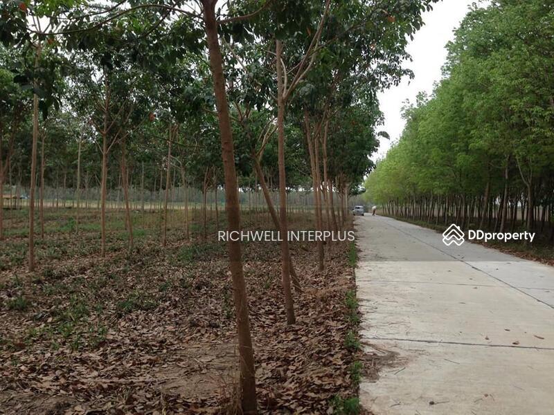 For Sale - Land for sale in Map Kha, next to a concrete road, 20 rai, next to CPGC Industrial Estate., Rayong