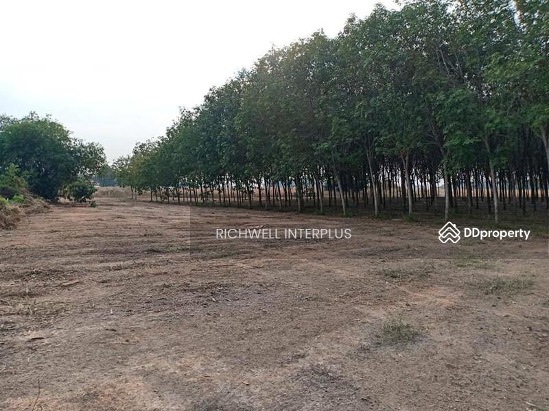 For Sale - Land for sale in Map Kha, next to a concrete road, 20 rai, next to CPGC Industrial Estate., Rayong