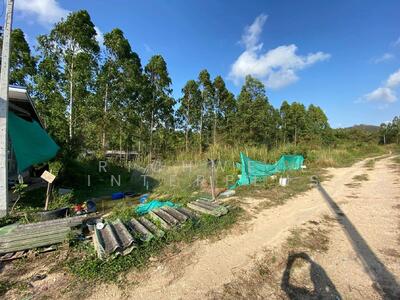 ขาย - ขายที่ดินสำนักท้อน 100 ตรว. ซอยสระแก้ว1/5 ใกล้ถ.ทางด่วนพัทยา-มาบตาพุด-2กม., ระยอง