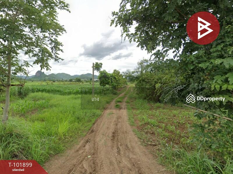 ขาย - ที่ดินหนองไผ่ เพชรบูรณ์, เพชรบูรณ์