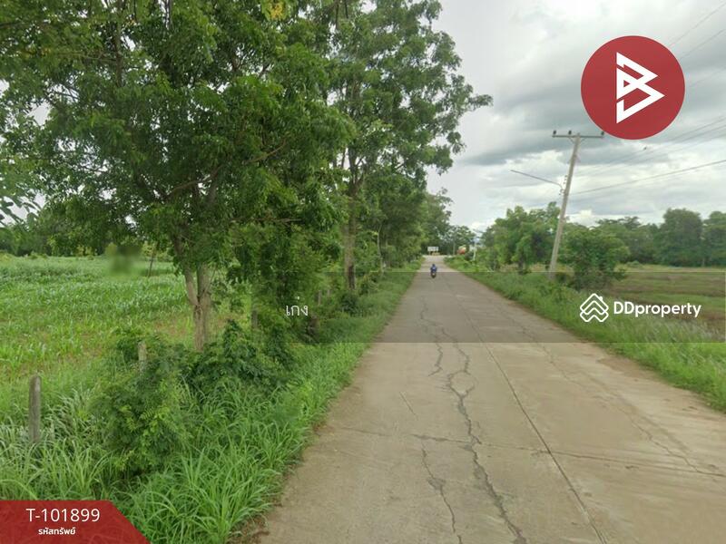 ขาย - ที่ดินหนองไผ่ เพชรบูรณ์, เพชรบูรณ์