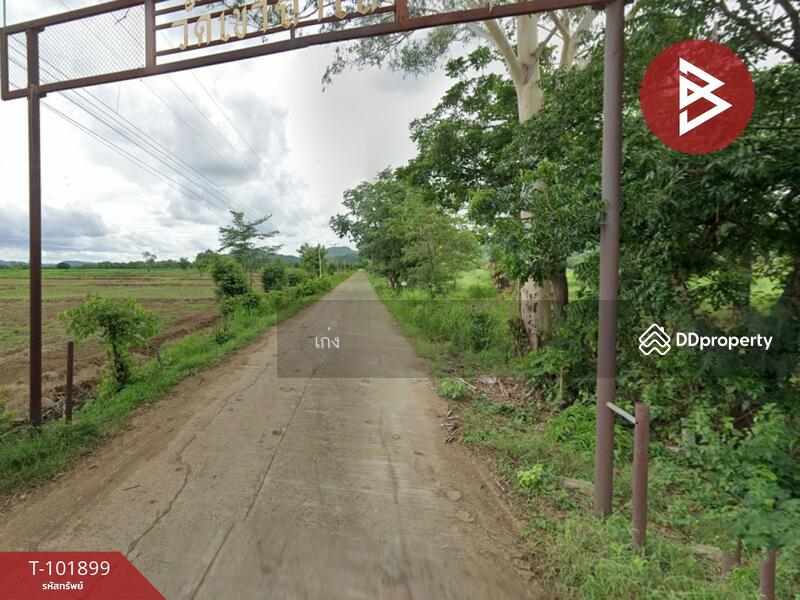 ขาย - ที่ดินหนองไผ่ เพชรบูรณ์, เพชรบูรณ์