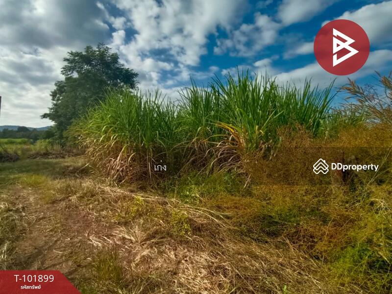 ขาย - ที่ดินหนองไผ่ เพชรบูรณ์, เพชรบูรณ์