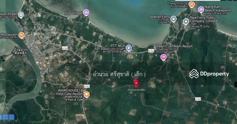 For Sale - ขายที่ดินสวนปาล์ม อำเภอดอนสัก สุราษฎร์ธานี, Surat Thani