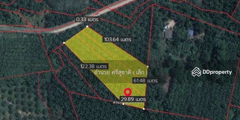 For Sale - ขายที่ดินสวนปาล์ม อำเภอดอนสัก สุราษฎร์ธานี, Surat Thani