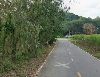 ขาย - ขายที่ดินลาดตะเคียน 17 ไร่ ติดถนนลาดยาง 2 ด้าน ใกล้ถนน304 -11กม., ปราจีนบุรี