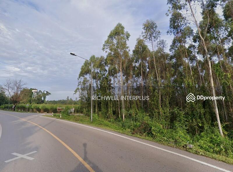 For Sale - Land for sale in Lat Takhian, 17 rai, on 2-sided asphalt road, near Highway 304 - 11 km., Prachin Buri