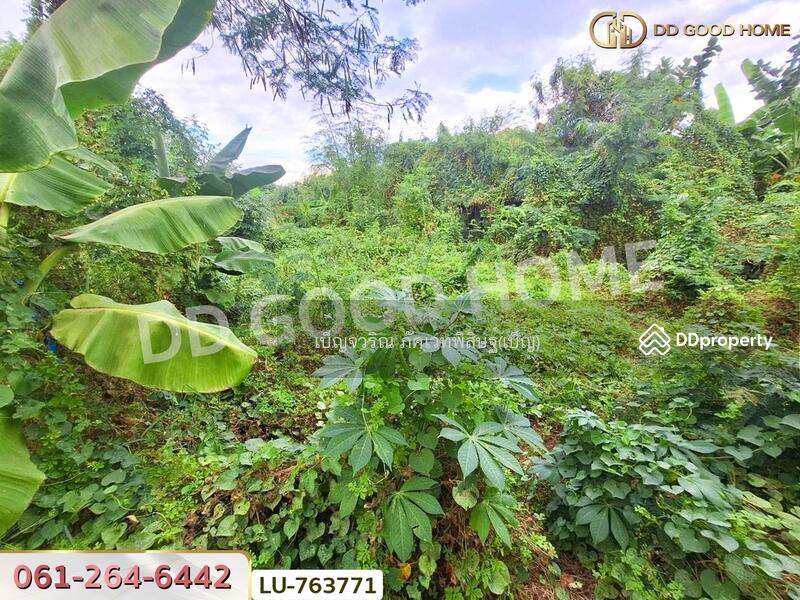 ขาย - Baan Panthong 3 : บ้านปั้นทอง 3, กรุงเทพ