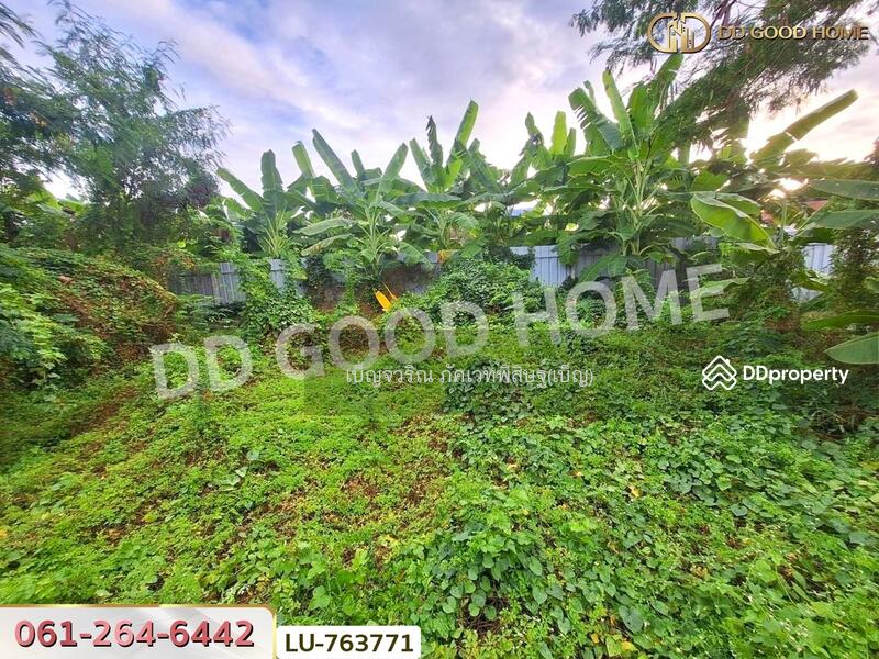 ขาย - Baan Panthong 3 : บ้านปั้นทอง 3, กรุงเทพ