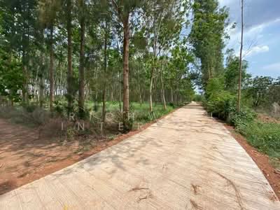 ขาย - ขายที่ดินศรีมหาโพธิ 7 ไร่ ติดถนนคอนกรีต ไร่ละ 280,000 บาท ใกล้ถนนเส้น3079 - 1.7 กม., ปราจีนบุรี