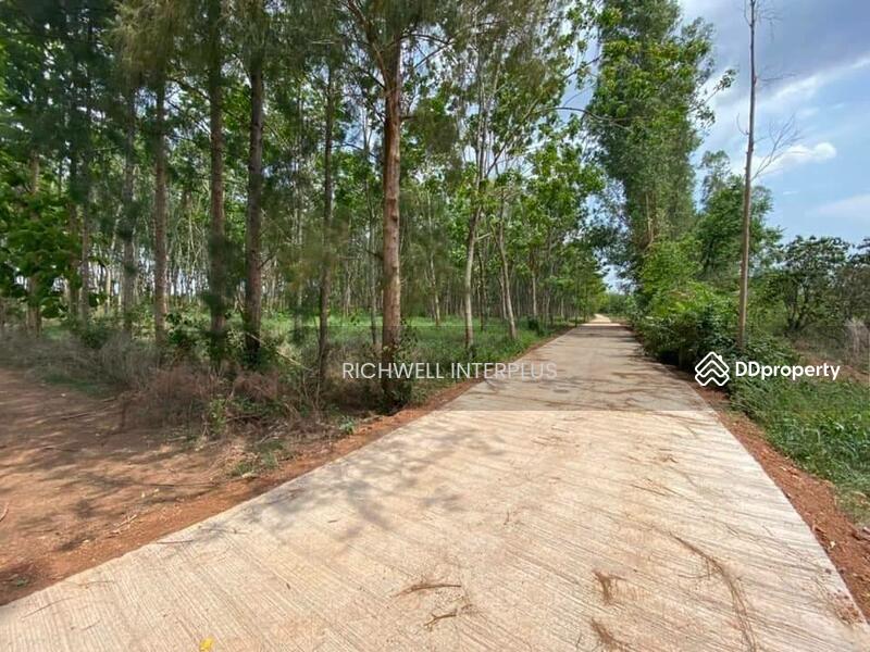 For Sale - Land for sale in Sri Maha Pho, 7 rai, next to a concrete road, 280,000 baht per rai., Prachin Buri