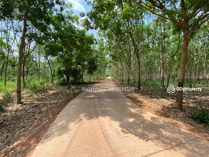 For Sale - Land for sale in Sri Maha Pho, 7 rai, next to a concrete road, 280,000 baht per rai., Prachin Buri