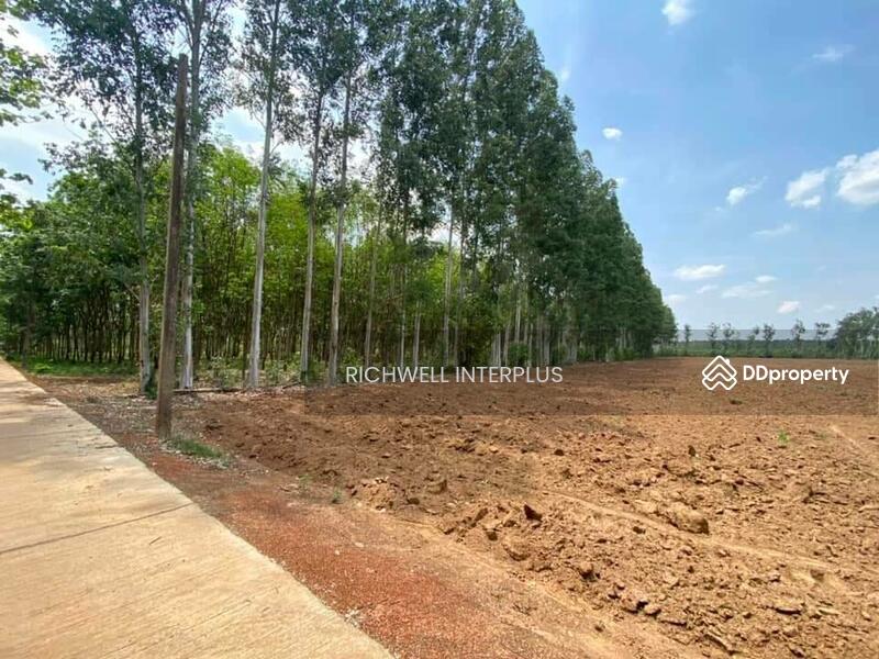 For Sale - Land for sale in Sri Maha Pho, 7 rai, next to a concrete road, 280,000 baht per rai., Prachin Buri