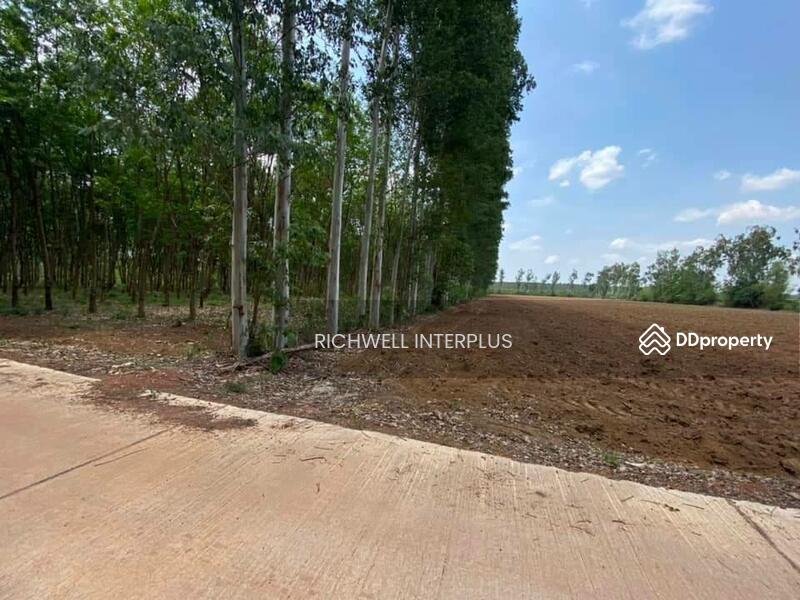 For Sale - Land for sale in Sri Maha Pho, 7 rai, next to a concrete road, 280,000 baht per rai., Prachin Buri