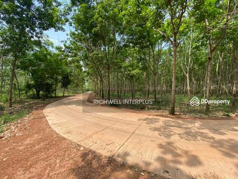 ขาย - ขายที่ดินศรีมหาโพธิ 7 ไร่ ติดถนนคอนกรีต ไร่ละ 280,000 บาท ใกล้ถนนเส้น3079 - 1.7 กม., ปราจีนบุรี