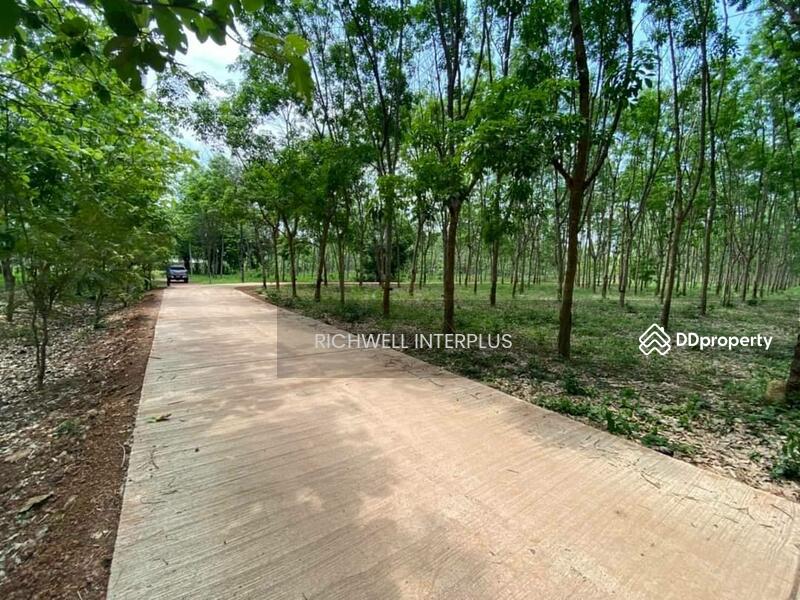 For Sale - Land for sale in Sri Maha Pho, 7 rai, next to a concrete road, 280,000 baht per rai., Prachin Buri