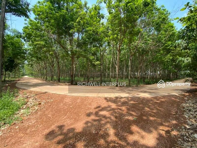 For Sale - Land for sale in Sri Maha Pho, 7 rai, next to a concrete road, 280,000 baht per rai., Prachin Buri