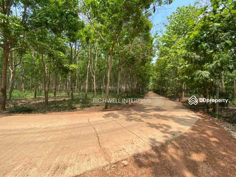 For Sale - Land for sale in Sri Maha Pho, 7 rai, next to a concrete road, 280,000 baht per rai., Prachin Buri
