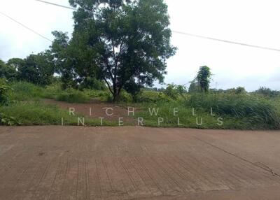 ขาย - ขายที่ดินศรีมหาโพธิเนื้อที่ 305 ตรว. ซอยหลังอบต.ท่าตูม ติดถนนคอนกรีต ใกล้ถนนสี่เลน3079-1.4กม., ปราจีนบุรี