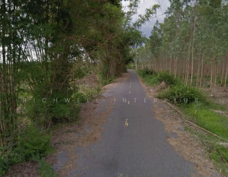 Land for sale in Nong Nae, 4 rai, filled in, on 2 sides of the road, near road 331, 5.4 km., Chachoengsao, Nong Haen, Phanom Sarakham, Chachoengsao, , 6,764 sqm, Land For Sale, by RICHWELL INTERPLUS, 11701734 - DDproperty.com