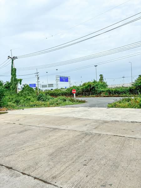 For Sale - อาคารพาณิชย์คู่ 2 ห้องใกล้ ทางด่วนใหม่ ใกล้วัดพะเนียงแตก นครปฐม ทำเลดี ไม่ควรพลาด, Nakhon Pathom