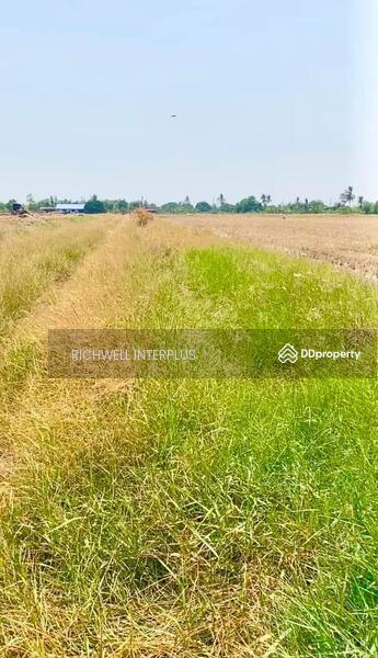For Sale - Land for sale in Bang Tei, Paet Riew, 1 rai, price 950,000 baht per rai, near road 2004 - 1.2 km., Chachoengsao