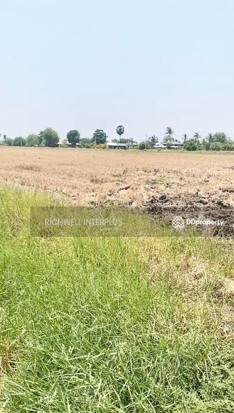For Sale - Land for sale in Bang Tei, Paet Riew, 1 rai, price 950,000 baht per rai, near road 2004 - 1.2 km., Chachoengsao