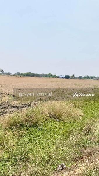 For Sale - Land for sale in Bang Tei, Paet Riew, 1 rai, price 950,000 baht per rai, near road 2004 - 1.2 km., Chachoengsao