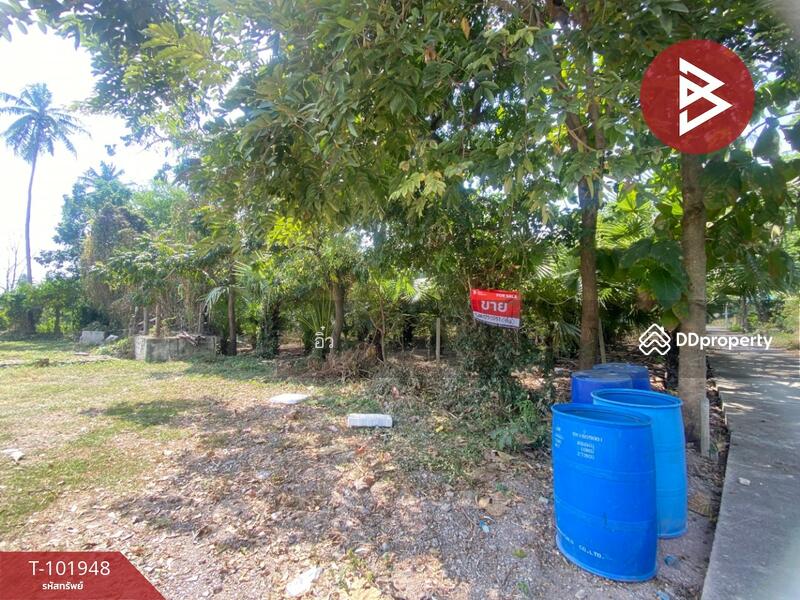 ขาย - ที่ดินบ้านลาด เพชรบุรี, เพชรบุรี