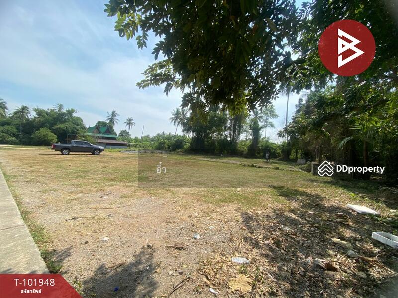 ขาย - ที่ดินบ้านลาด เพชรบุรี, เพชรบุรี