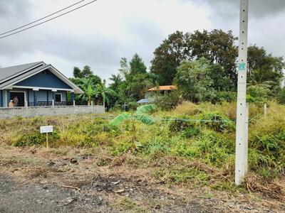 ขาย - ขายที่ดินพนมสารคาม 110 ตรว. ซอยบ้านคูเมืองใกล้ตลาดสดเกาะขนุน-1กม., ฉะเชิงเทรา