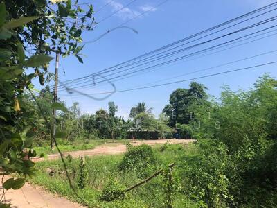 ขาย - ขายที่ดินบ้านซ่องหมู่7เนื้อที่ 1 ไร่ ติดถนนคอนกรีตถมแล้ว ใกล้ถนน4เลน, ฉะเชิงเทรา