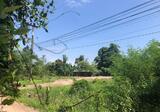 ขายที่ดินบ้านซ่องหมู่7เนื้อที่ 1 ไร่ ติดถนนคอนกรีตถมแล้ว ใกล้ถนน4เลน - DDproperty.com