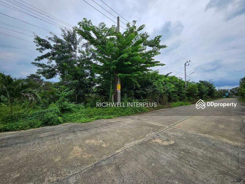 For Sale - Land for sale in Bueng Cham-o, Nong Suea, area 200 sq m., Khlong 8,, Pathum Thani