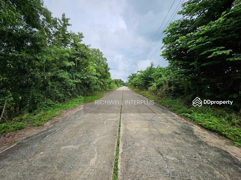 For Sale - Land for sale in Bueng Cham-o, Nong Suea, area 200 sq m., Khlong 8,, Pathum Thani