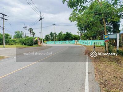 ขาย - ที่ดินเปล่าใกล้ อบต. โรงเรียน ติดชุมชน ต.หนองงูเหลี่ยม อ.เฉลิมพระเกียรติ จ.นครราชสีมา 30000, นครราชสีมา