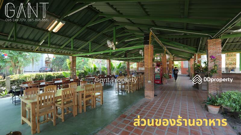 ขาย - บางคล้า, ฉะเชิงเทรา