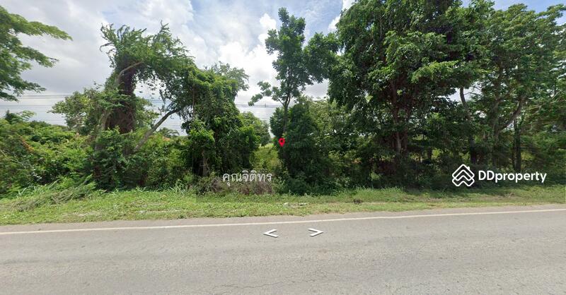 ขาย - ขายที่ดินเปล่า 13 ไร่ 1 งาน 62 ตร.วา ต.บ้านชวน อ.บำเหน็จณรงค์ จ.ชัยภูมิ, ชัยภูมิ