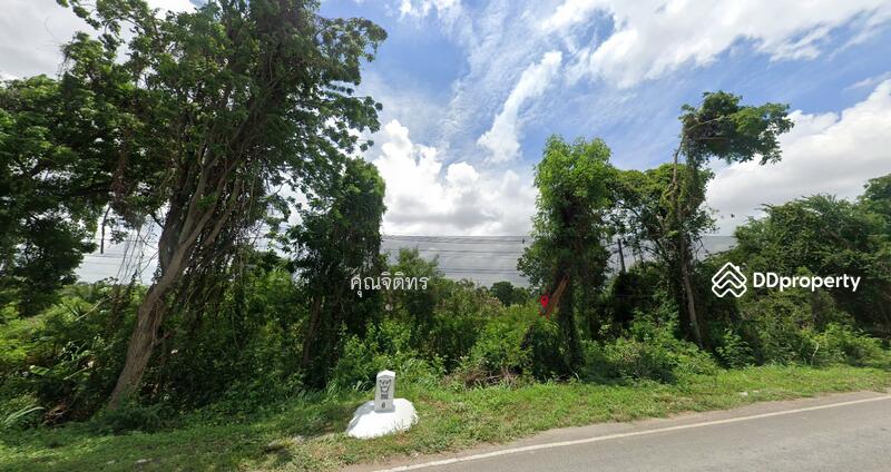 ขาย - ขายที่ดินเปล่า 13 ไร่ 1 งาน 62 ตร.วา ต.บ้านชวน อ.บำเหน็จณรงค์ จ.ชัยภูมิ, ชัยภูมิ
