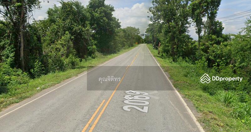 ขาย - ขายที่ดินเปล่า 13 ไร่ 1 งาน 62 ตร.วา ต.บ้านชวน อ.บำเหน็จณรงค์ จ.ชัยภูมิ, ชัยภูมิ