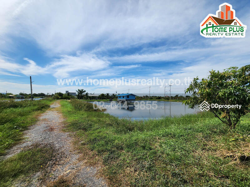 ขาย - ที่ดินพร้อมสวนใกล้วัดหงษ์ทอง ถนนสุขุมวิท อำเภอบางบ่อ สมุทรปราการ เนื้อที่ 3 ไร่, สมุทรปราการ