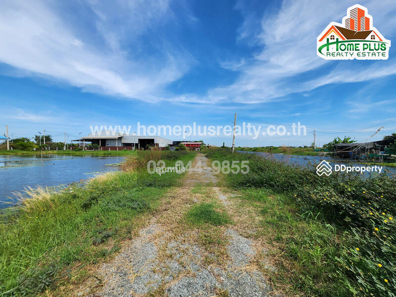 ขาย - ที่ดินพร้อมสวนใกล้วัดหงษ์ทอง ถนนสุขุมวิท อำเภอบางบ่อ สมุทรปราการ เนื้อที่ 3 ไร่, สมุทรปราการ