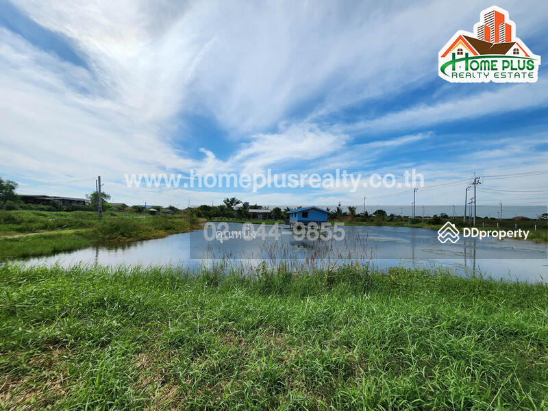 ขาย - ที่ดินพร้อมสวนใกล้วัดหงษ์ทอง ถนนสุขุมวิท อำเภอบางบ่อ สมุทรปราการ เนื้อที่ 3 ไร่, สมุทรปราการ