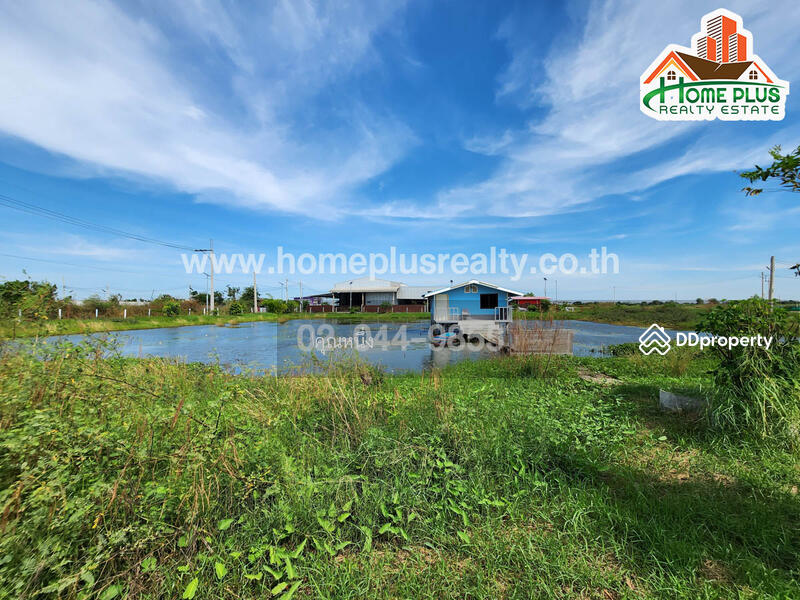ขาย - ที่ดินพร้อมสวนใกล้วัดหงษ์ทอง ถนนสุขุมวิท อำเภอบางบ่อ สมุทรปราการ เนื้อที่ 3 ไร่, สมุทรปราการ